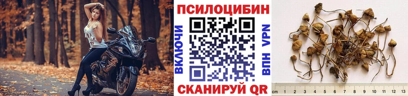 Галлюциногенные грибы GOLDEN TEACHER  купить  цена  Белоярский 
